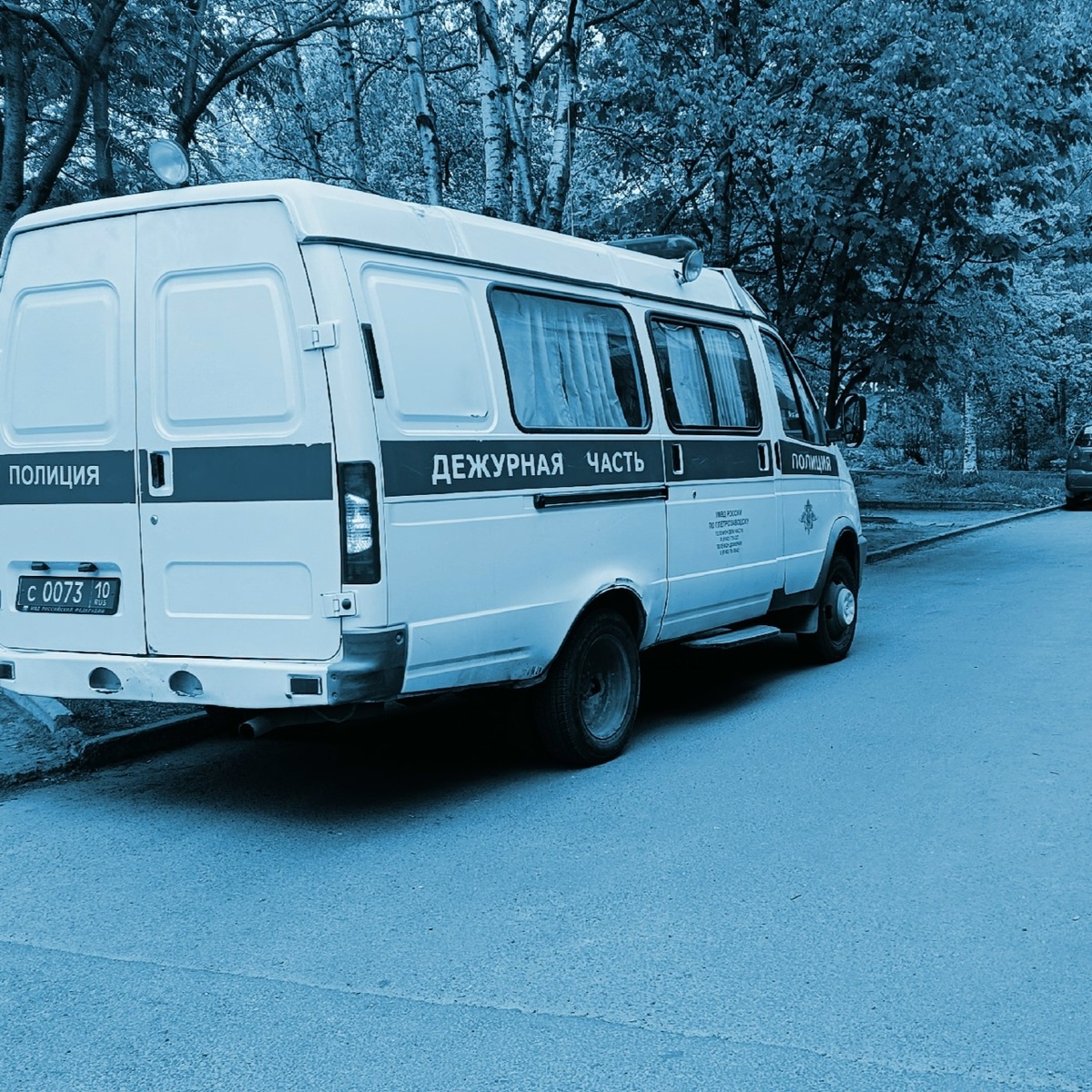    Фото: МВД Карелии