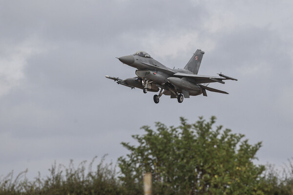 Alfie Cosgrove/Global Look Press   📷