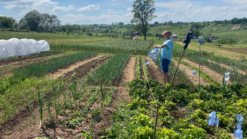    Фото: ПроГород