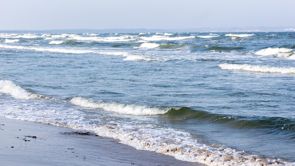    Фото: freepik.com/pvproductions