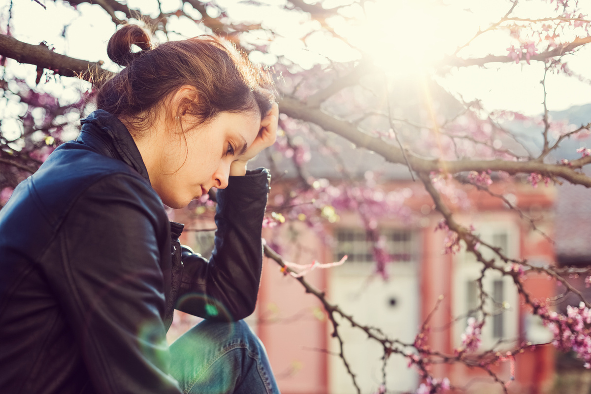 Яндекс картинка