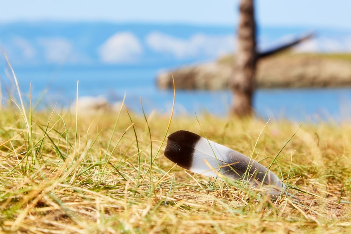 📸 Александр Емельянов