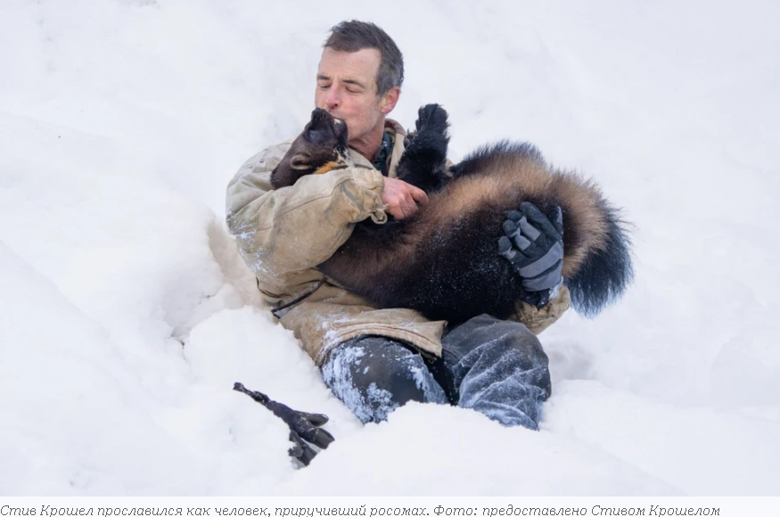 Фото: Скриншот kp.ru