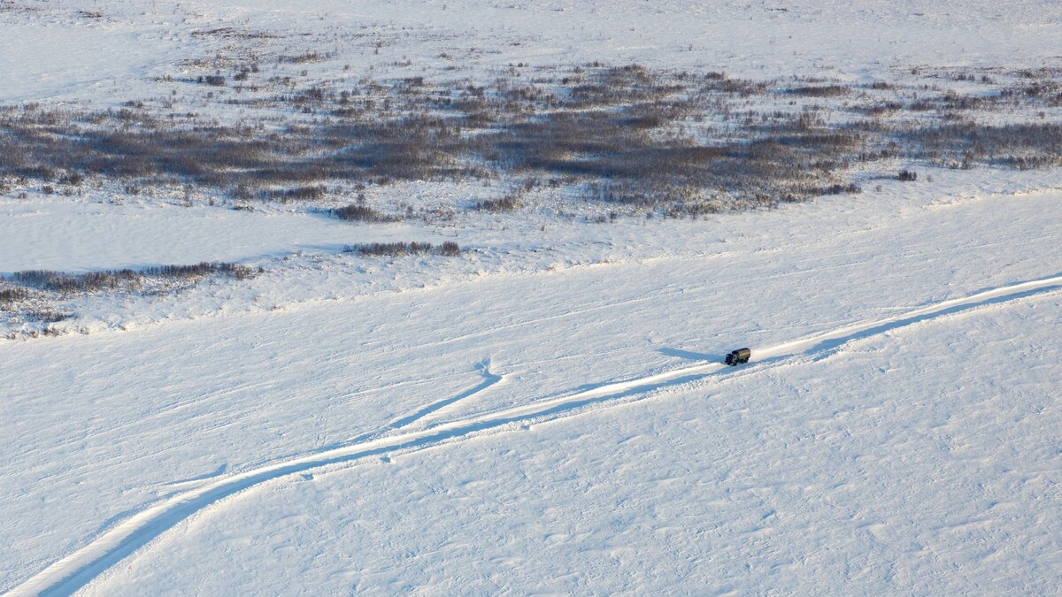    Фото: Федор Воронов/«Ямал-Медиа»