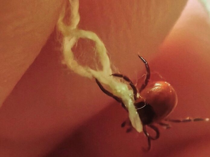    Фото: В курсе.ру