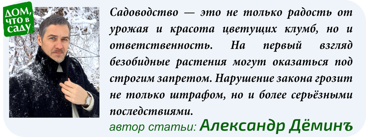 Дом, что в саду