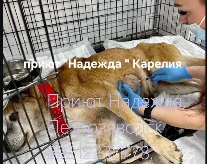 🔥🔥🔥 СРОЧНЫЕ НУЖНОСТИ ПРИЮТА