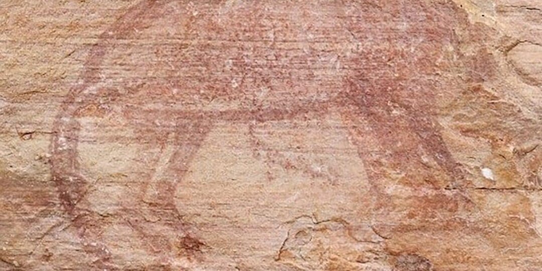 Наскальные рисунки аборигенов заставили пересмотреть сроки вымирания тилацинов в Австралии