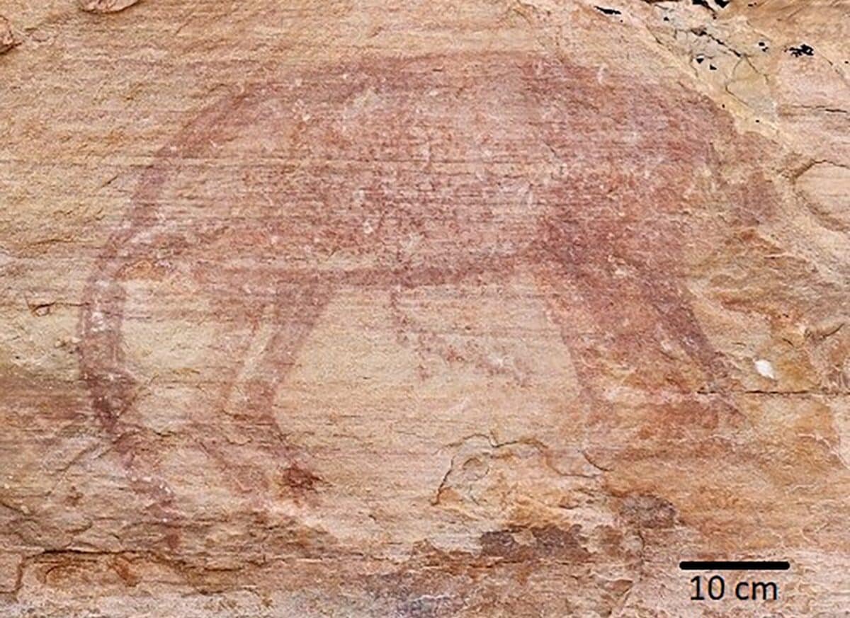    Наскальный рисунок тилацина, обнаруженный на северо-западе Арнемленда / © Benedict Dyson, Archaeology in Oceania