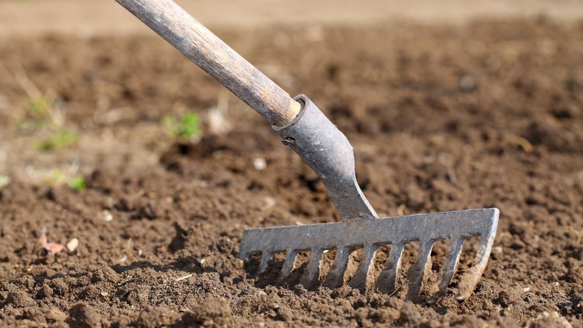 подготовка грядки после зимы