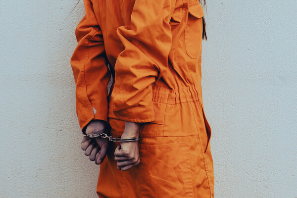 Shutterstock/FOTODOM   📷