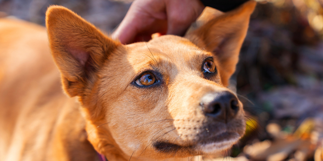 Хорошо, что мы встретились