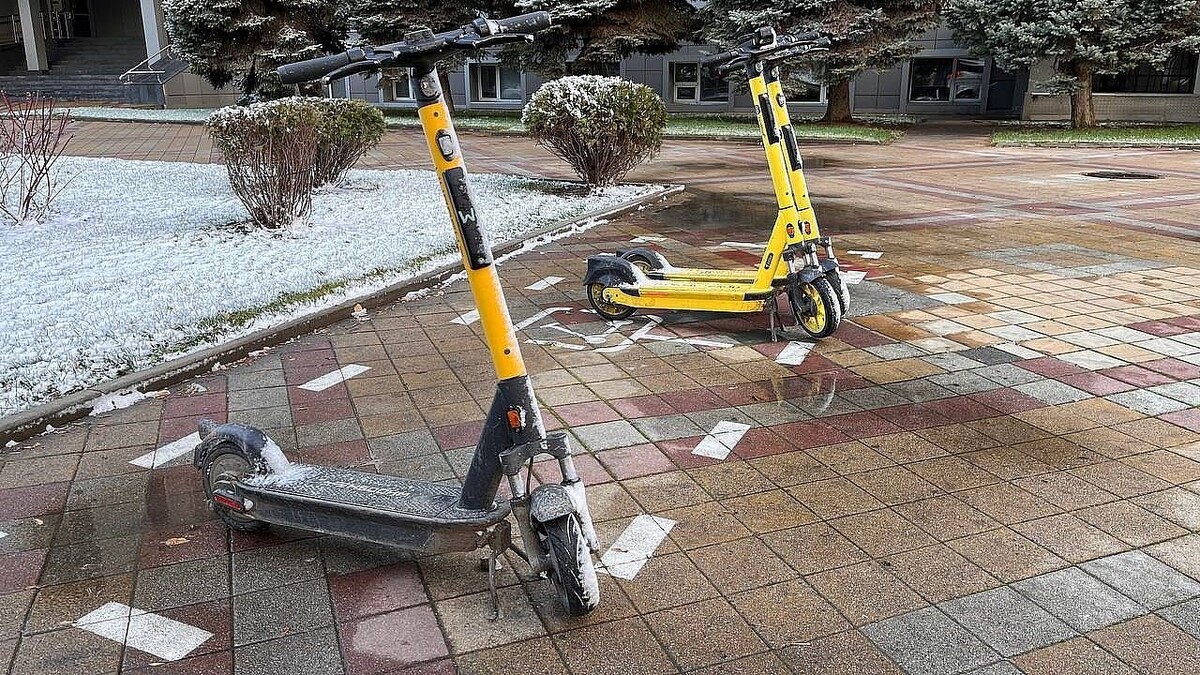    Фото: телеканал «Краснодар»