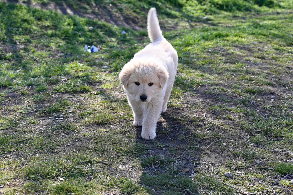 Фото: Гала Амарандо