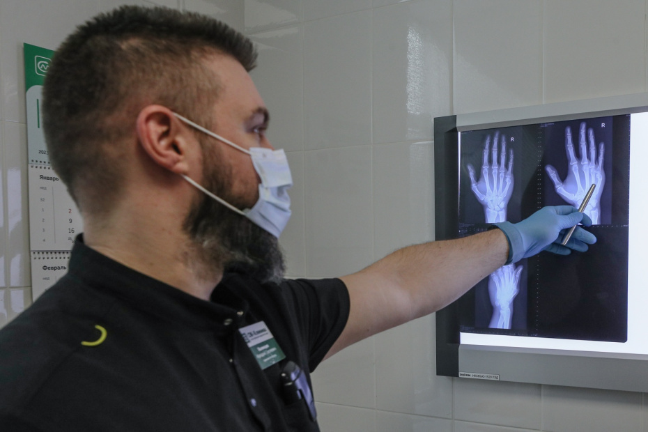    Сергей Булкин/NEWS.ru