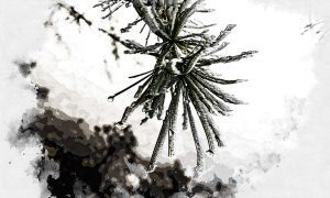 Изображение от aleskrivec на Freepik  📷
