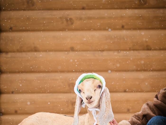    ФОТО: предоставлено "Глобал вижн"