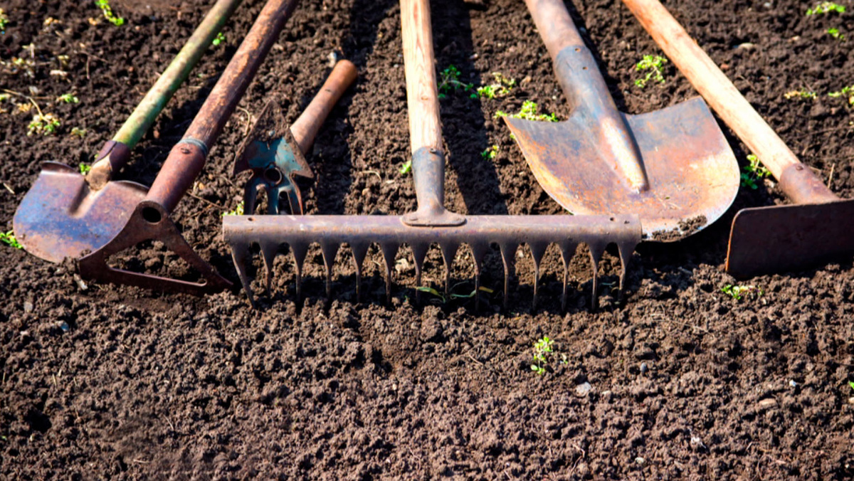 Прежде чем выбирать метод, важно понять физиологические и биологические процессы, запускаемые разными способами обработки.