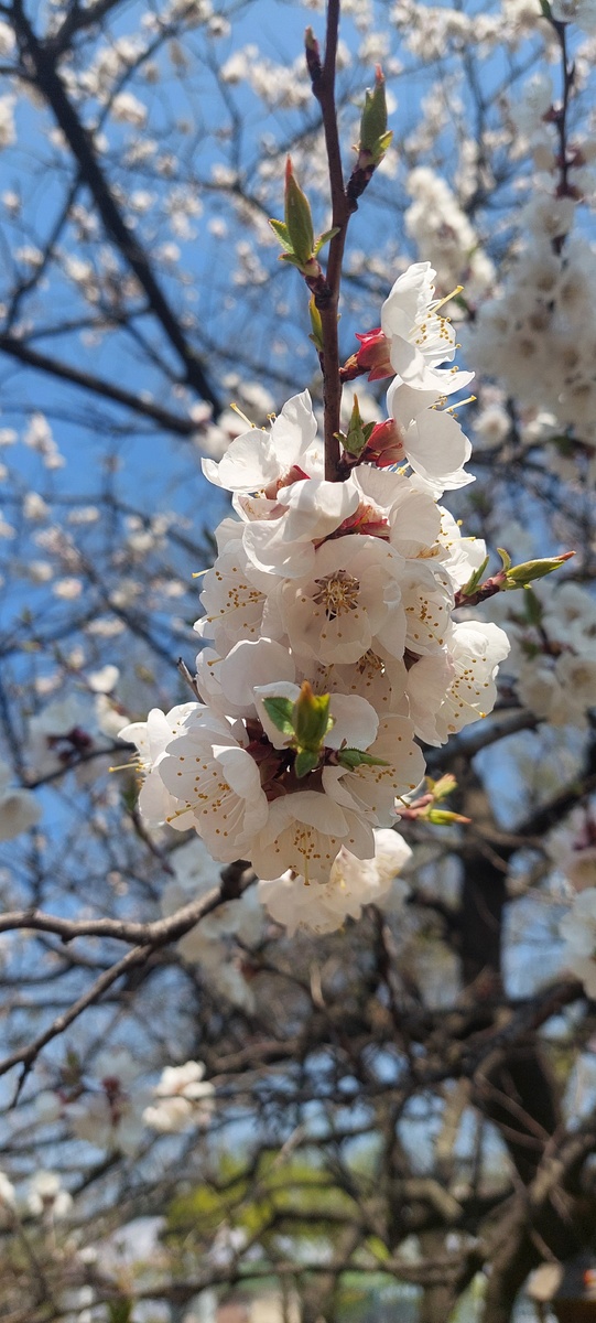 Природа невероятно мудра и целесообразна. Сможем ли мы когда-нибудь постичь все её замыслы?
