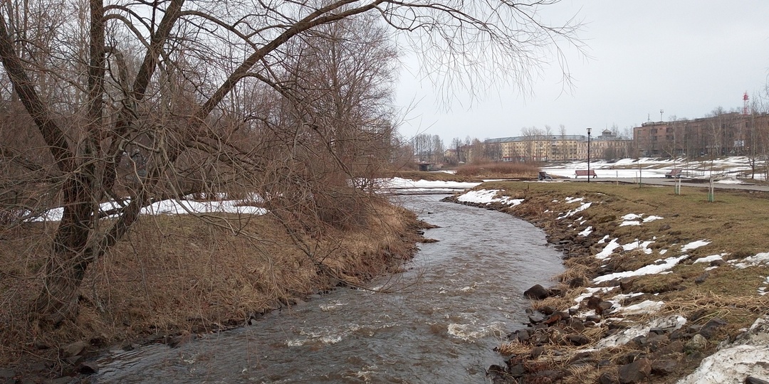 Карелия вошла в число рекордсменов по продажам антидепрессантов