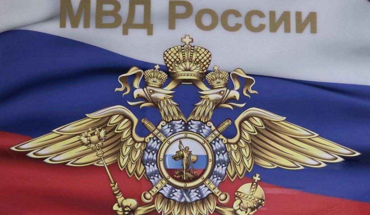     Эмблема МВД. Источник: ОМВД по ЧГО Автор фото: Отдел МВД по ЧГО