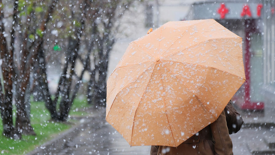 Наталья Селиверстова/РИА «Новости»   📷