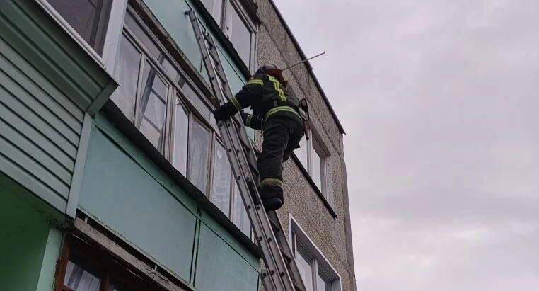    ГКУ МО «Мособлпожспас»