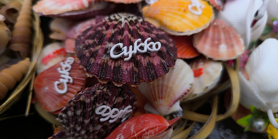 Пятница.03.04.26 Биоритм, пляж Сукко и "Пельмень Варенич"