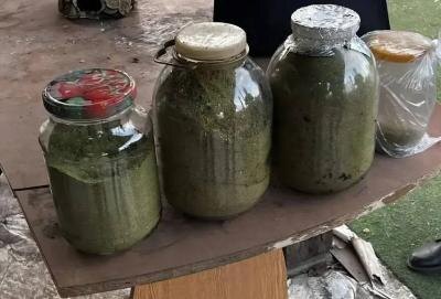 В Марксовском районе задержали двух жителей за сбыт марихуаны