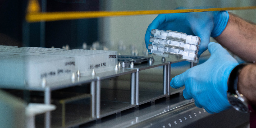 «Мираторг» ускорил диагностику здоровья животных