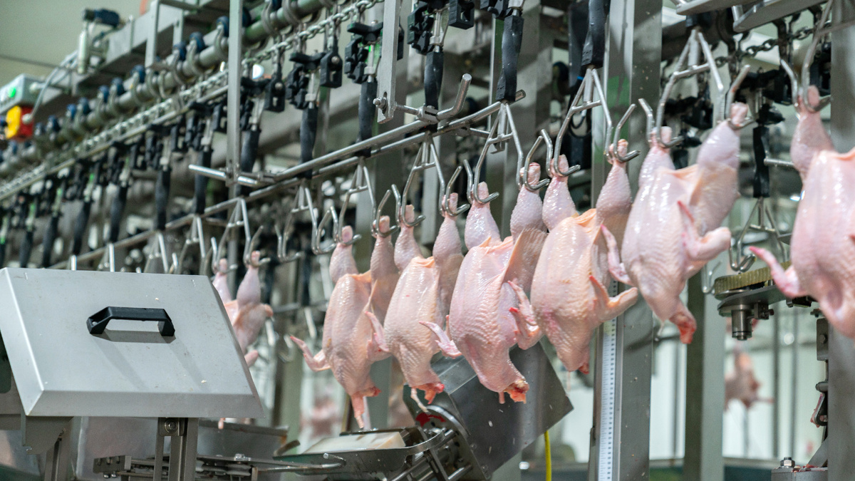 Фото: zblaster / Freepik.com