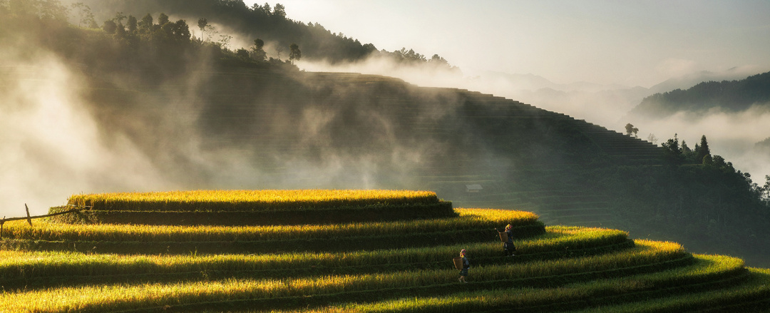Весенний Вьетнам за 10 дней