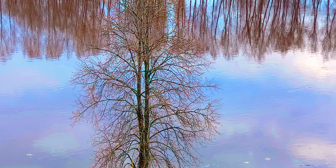 Что есть "элементы" науки с точки зрения знаний Учения Агни-Йоги о Психической энергии