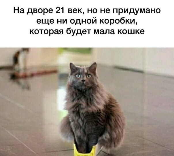 Смешные мемы