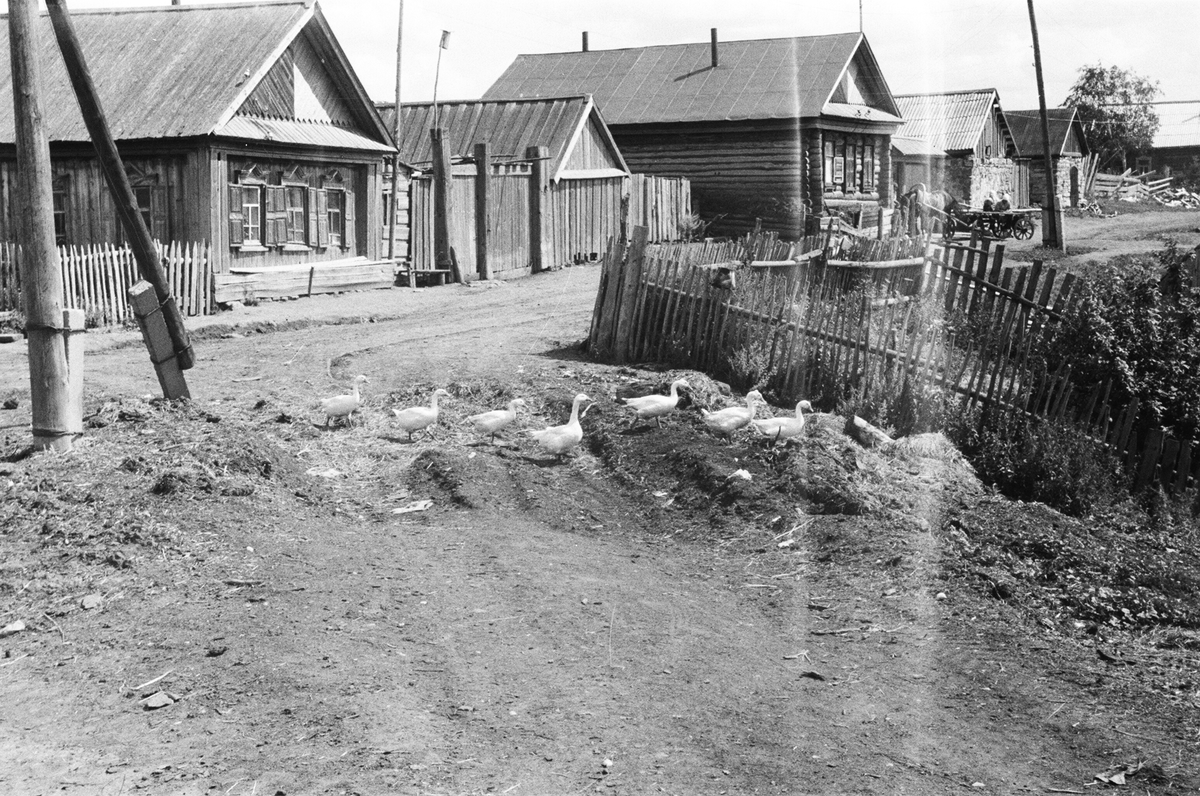 Деревня Беляхча. В одном из этих домов мы жили... Фото моего друга - Владимира Печенкина.