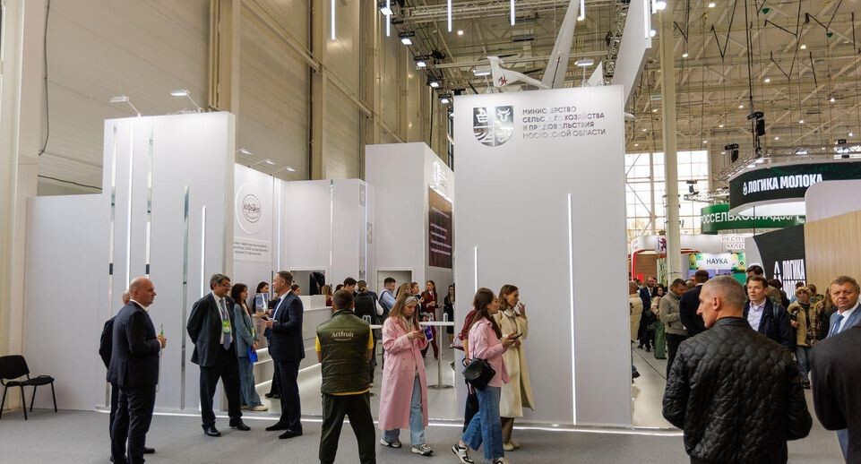    медиасток.рф