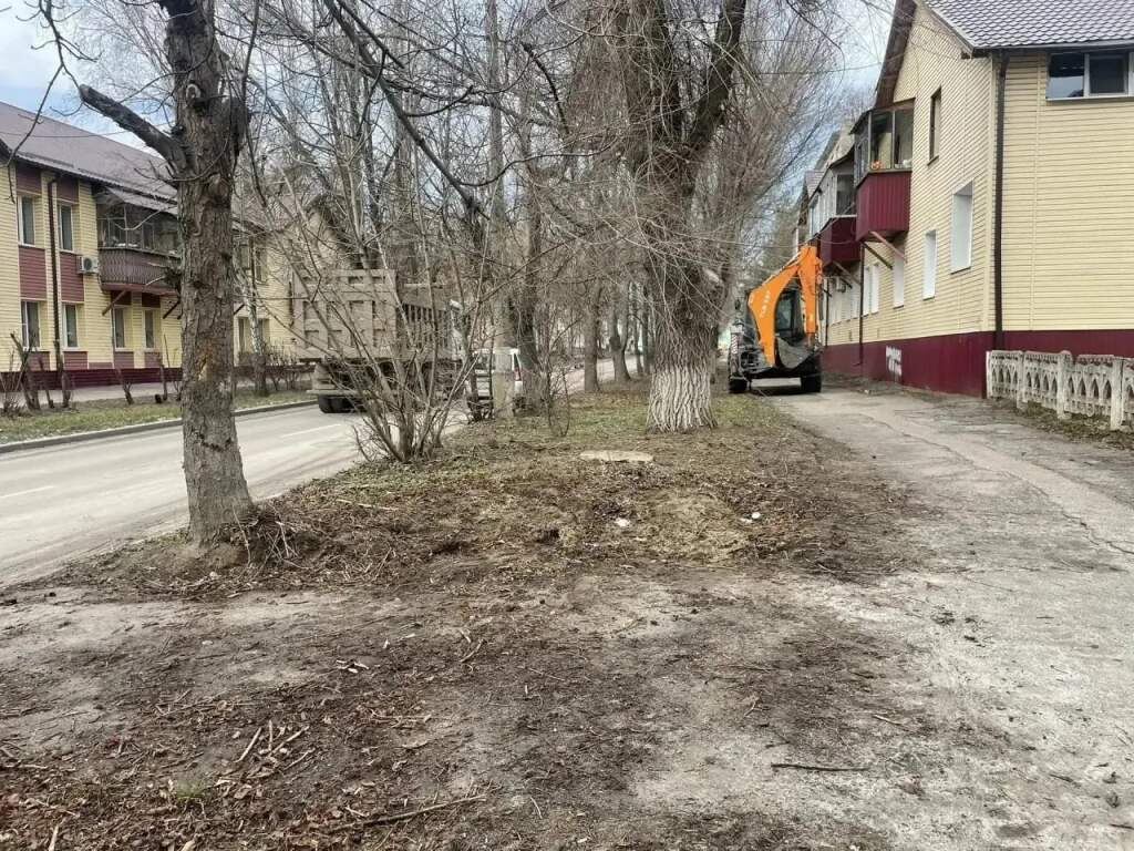    Фото администрации города Курска