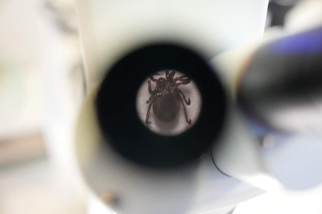 Фото: ИЗВЕСТИЯ/Дмитрий Коротаев