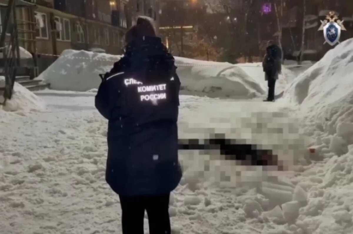    Двоих мужчин обвинили в смерти нижегородки из-за упавшей наледи