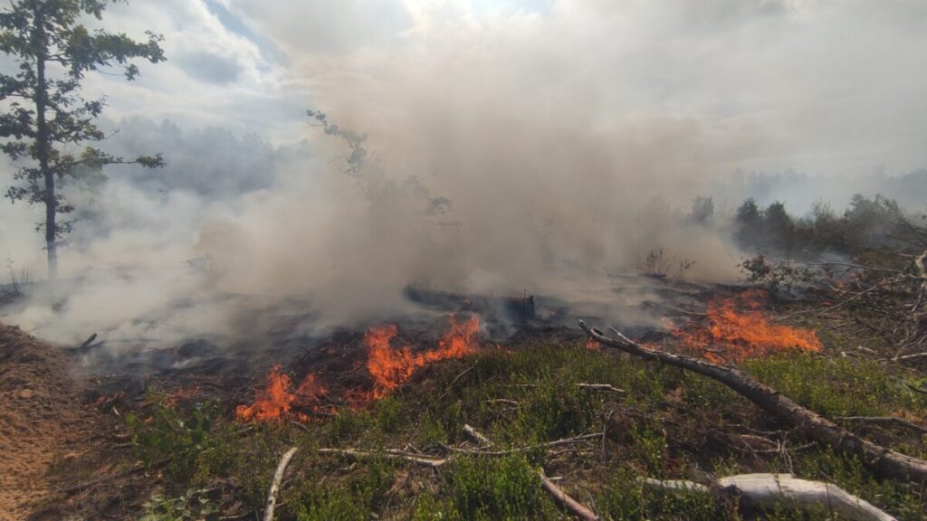    Фото: t.me/deples67