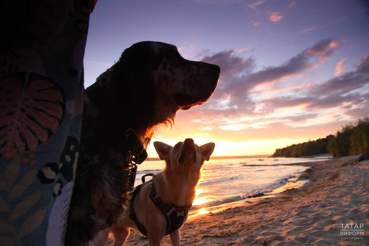 Фото: © Михаил Захаров / «Татар-информ»