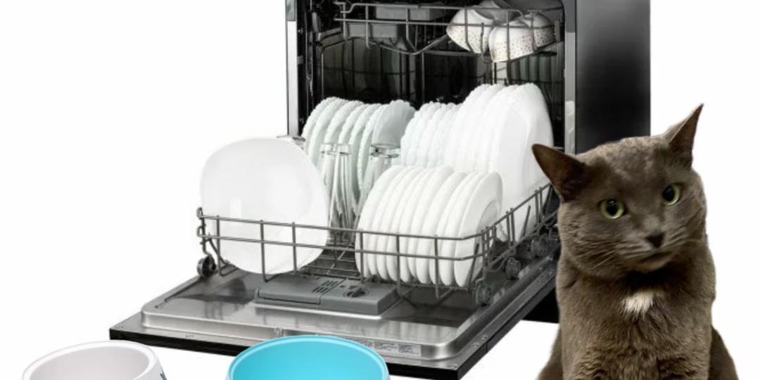 Нормально или недопустимо: мыть кошачьи миски в посудомоечной машине вместе со своей посудой