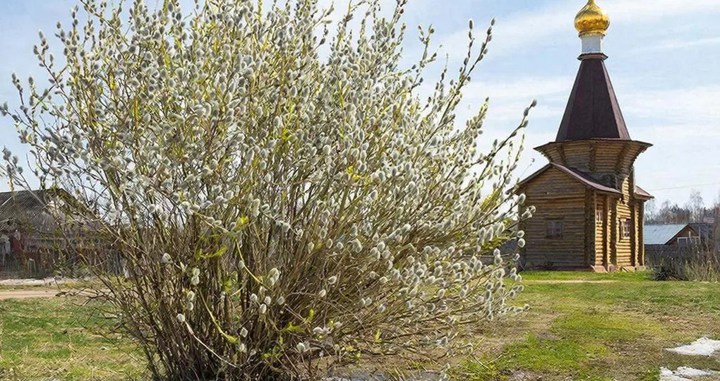 Народные приметы на 4 апреля 2026 года: что нельзя делать в день Василия Теплого