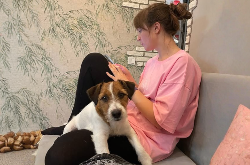 Навязчивость как образ жизни: что делать, если джек-рассел постоянно требует внимания