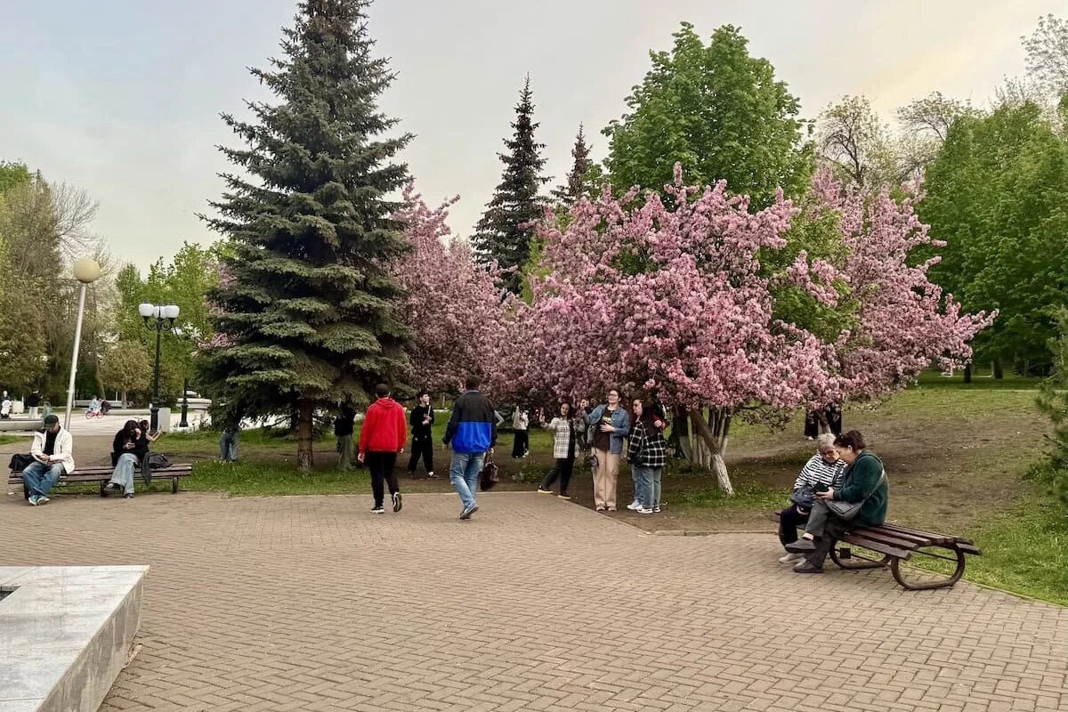 Фото: UfacityNews.ru