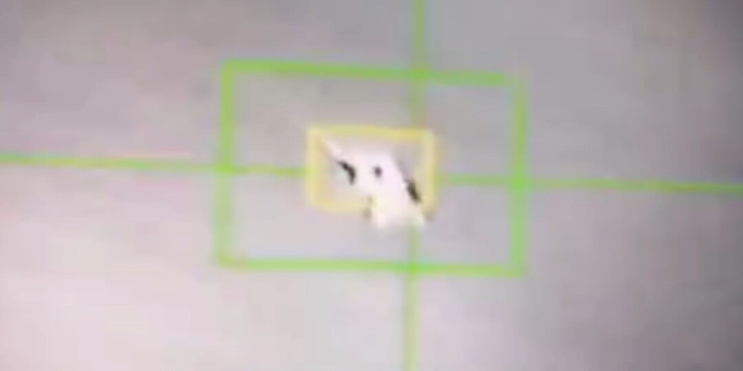 КСИР задержал пилота сбитого американского истребителя F-35