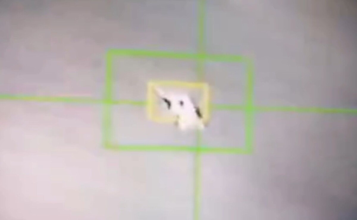     / Источник: кадр из видео