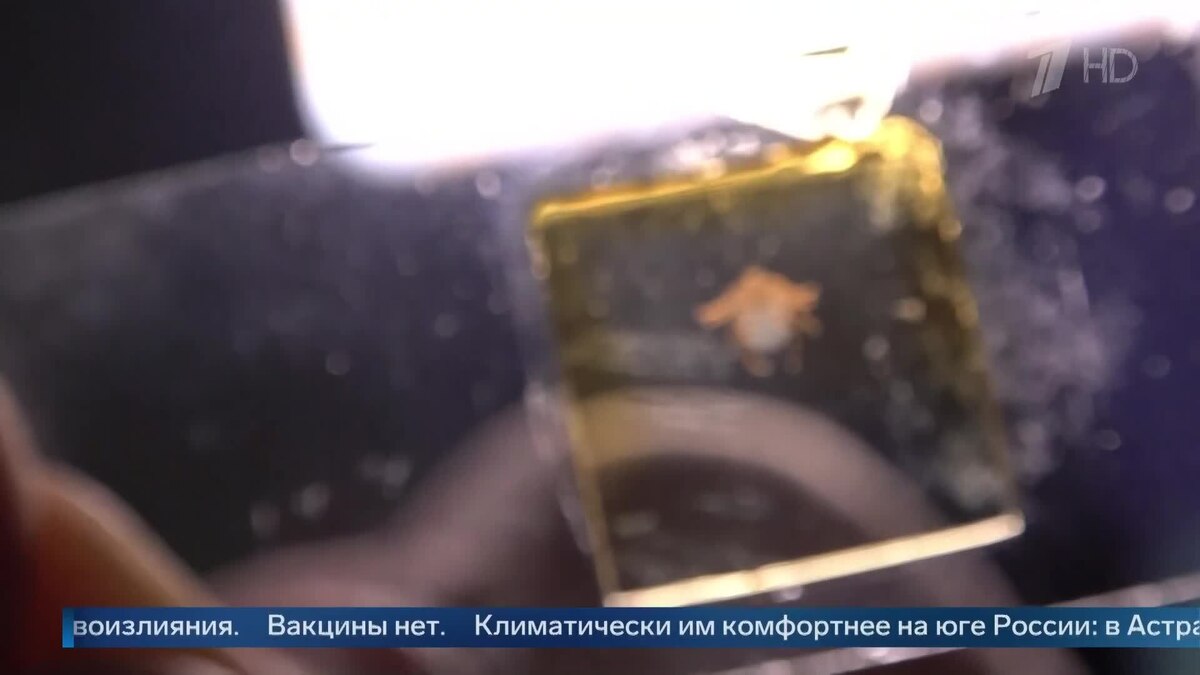    Первый канал