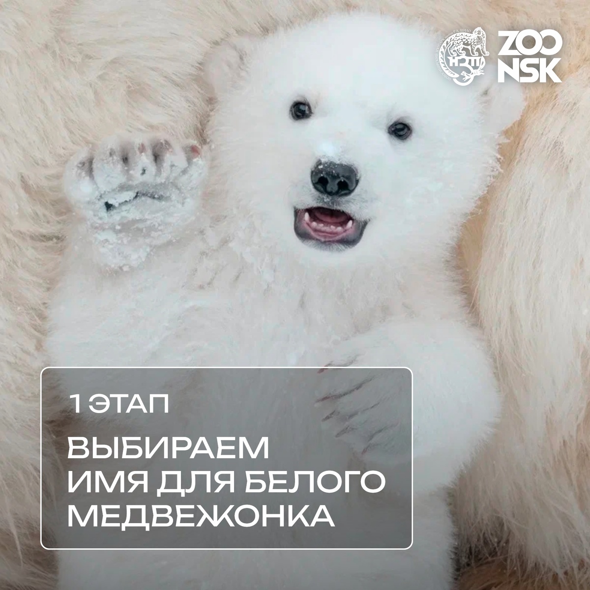 📸 А. Дряхлов