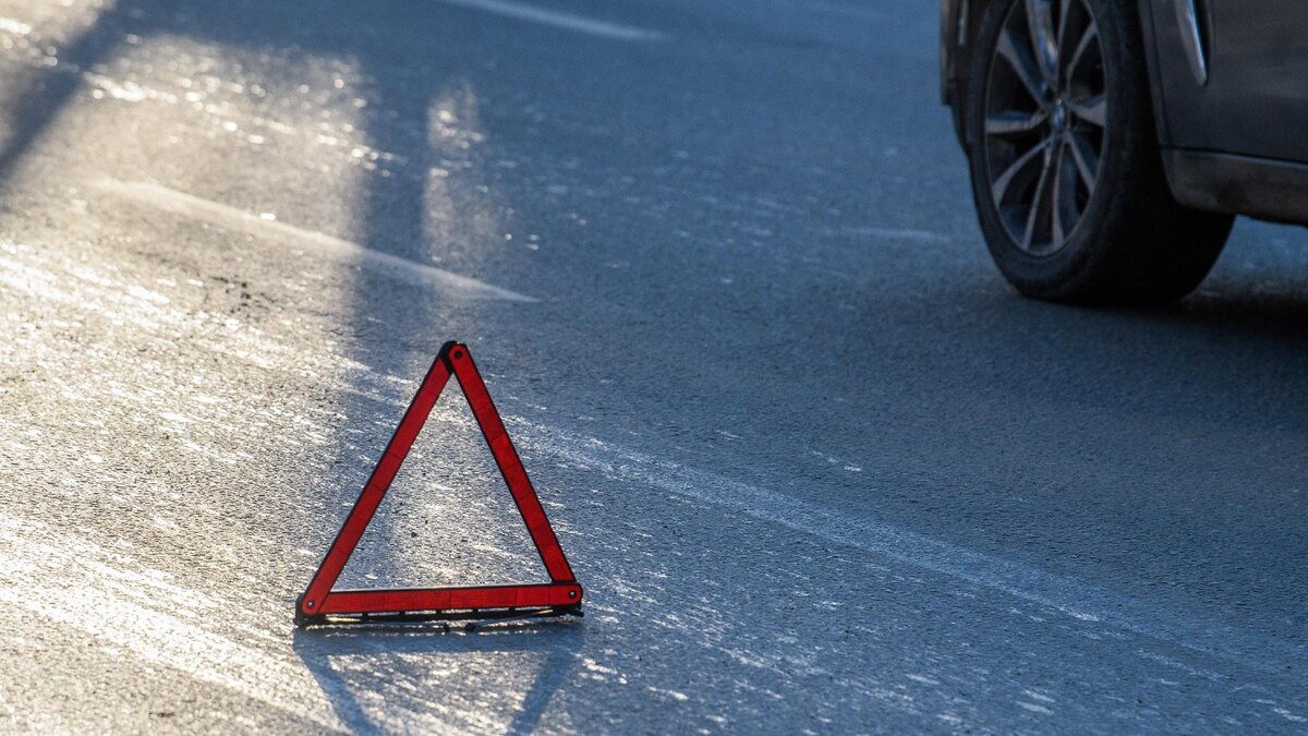    Фото: Ilya Moskovets/globallookpress.com